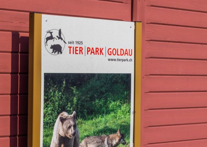 Scoprendo la Svizzera…tutti al Tierpark di Goldau