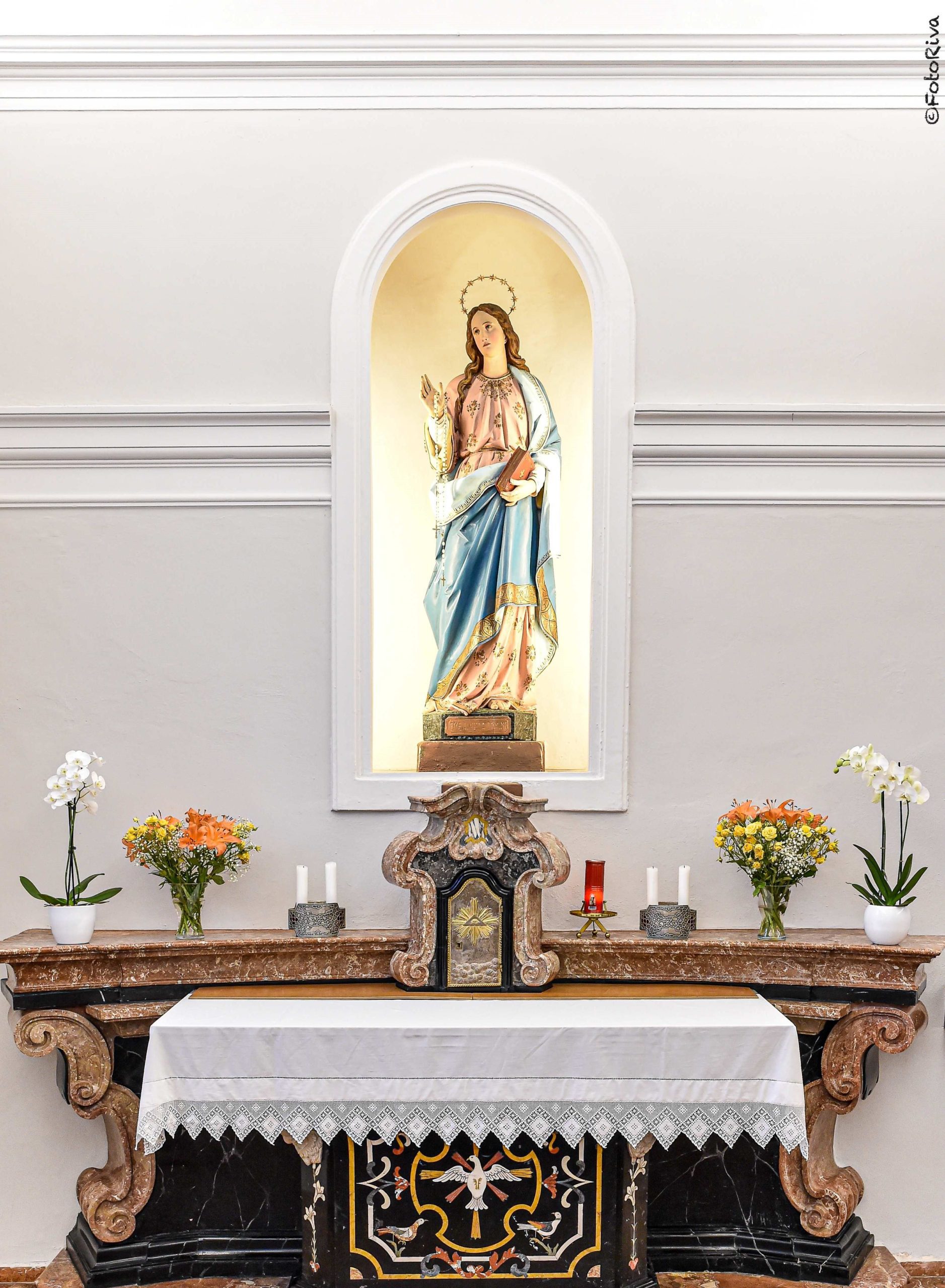 S. Messe e celebrazioni: 21 – 28 luglio 2024